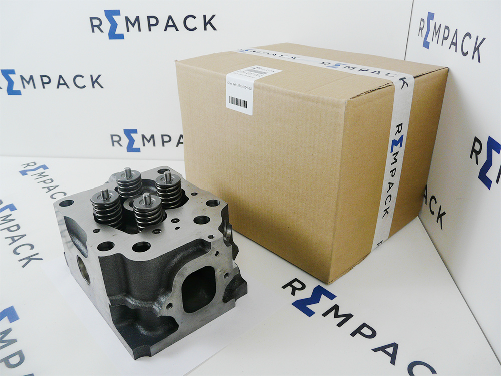 Головка блока цилиндров REMPACK 10905001 (A5410104521) Mercedes A5410101121, A5410101521, A5410103621, A5410106020 